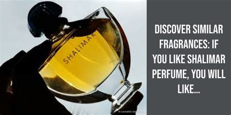 if you like shalimar perfume you will like